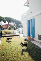 Appartement 2 Chambres - Vue sur Piscine