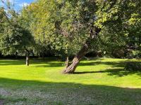 Appartement en campagne - Chambres d’hôtes