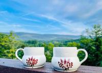 No Dog Fees - Dog Friendly 3BR 2BA with Loft and Mountain Views - Near Bryce Resort in Basye, VA - B&B