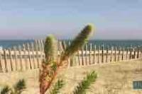 Torreilles-Casa terracota- Climatisation- proche plage - Perpignan- le Barcares - South of France - Chambres d'hôtes Torreilles