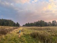 Kwaggaskop Farm Kliphuis - Ferienwohnung Dullstroom