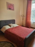 Apartment near St. Elizabeth Church - Ferienwohnung Lwiw