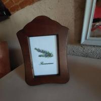 Istanti - Rosmarino - B&B Costigliole Saluzzo