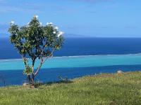 La Suite Vue Lagon - Bed and Breakfast Uturoa