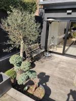 Maison spacieuse et cosy 7 personnes - Ferienwohnung Estaimpuis