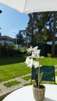 B&B Orly - Les Acacias - Maison Orly - Bed and Breakfast Orly