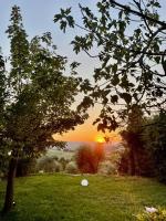 Agriturismo CasaViVa - B&B Pozzo