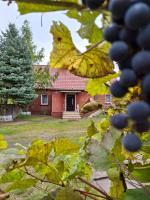 Domek przy Maja - B&B