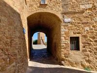 Casina Belvedere - B&B San Quirico d'Orcia