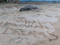 Itʻs All About the Beach - Bed and Breakfast