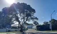 B&B Orewa - Edgewater Motel - Bed and Breakfast Orewa