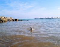 Precioso apartamento en Canet d,en Berenger - Ferienwohnung