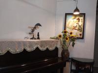 Da Tree Homestay - B&B Hanoi