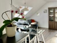 B&B Gdańsk - Apartment Storczykowa Airport - Bed and Breakfast Gdańsk