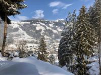 Apartment mit 3 Schlafzimmern und Dusche