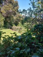 Santo Domingo Chile ENGLISH SPOKEN Gran Departamento compartido frente al mar PARQUE TRICAO bird sanctuary 14kms 9miles away ESTACIONAMIENTO Y WIFI GRATIS Free parking and wifi - Chambres d'hôtes Santo Domingo