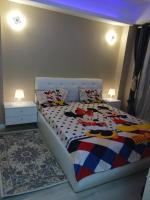 B&B Boekarest - Myky Mouse nu primesc santieristi si petrecareti - Bed and Breakfast Boekarest