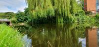 Entire house in Retford city centre - B&B Retford