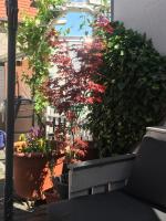 Pension Doreen Nieswand - Ferienwohnung