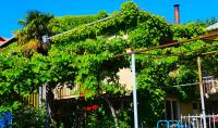 Guest house Green Veranda - B&B
