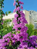 Ferienwohnung am Sandstrand - Chambres d’hôtes Omiš
