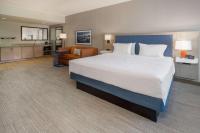 Suite Deluxe con cama extragrande para no fumadores