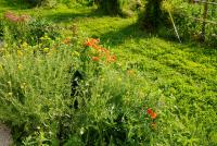Haus mit 2 Schlafzimmern