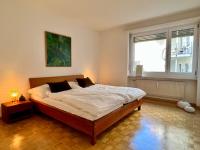 Gemütliche grosse Wohnung Nähe Uni - B&B Basel