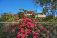 Tranquil Garden Hideaway - B&B Ormeau