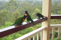 Tranquil Garden Hideaway - B&B Yarram