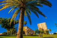 137 Minerva Apartamentos - Vista al mar - Piscina y Playa - Cercano a tren, restaurantes y tiendas - B&B Benalmádena