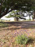 Bienvenue au Gîte de Mornas - Ferienwohnung Beaumont-lès-Valence