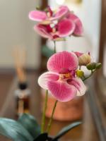 Orio easy relax 24h Airport 3 - a few steps - B&B Orio al Serio