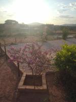 Suite con 1 Camera da Letto