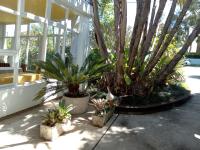 Belairberry - B&B Berry