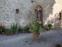 Apartment with Garden View