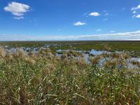 Harbor Lights Cottages #3 - B&B Rockport