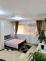 B&B Râmnicu Vâlcea - Casa Daria - Bed and Breakfast Râmnicu Vâlcea