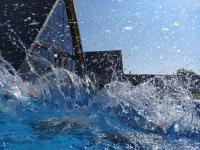 Qafqaz Wood Chalet - B&B Gabala