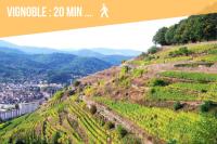 Chez Patisa - Business and Tourism - RBNB - Ferienwohnung Gebweiler