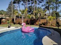 B&B Pensacola - Very Private 3 Bed Home with HEATED Pool Palms and Big Fenced Yard - Bed and Breakfast Pensacola