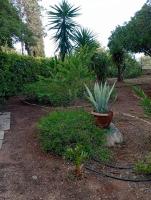 Villa Muia-Appartamento con giardino - B&B Parabita