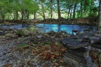 Home Sweet Home Cabin - Bed and Breakfast Cosby
