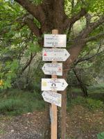 Το Aρχοντικό των Τσιντζίνων - B&B Polídhroson