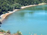 Driftwood Paradise - B&B Purerua