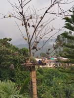 Apartamento portal del prado - B&B Santa Rosa de Cabal