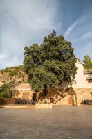 Apartamentos 7 puentes sierra Cazorla Casa Encina - B&B Burunchel