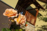 Penzion Hájenka - Bed and Breakfast