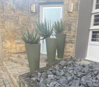 B&B East London - The Aloe - Bed and Breakfast East London