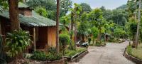ลิ้นฟ้าแคมป์ปิ้งรีสอร์ท - B&B Mae Hong Son